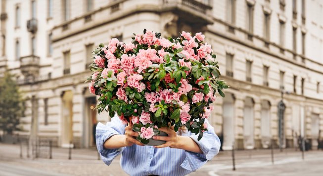 ©Azaleadellaricerca.airc.it