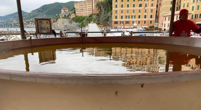 ©Facebook.com/ComunediCamogli