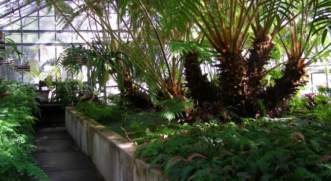 ©Facebook.com/ortobotanicodigenova