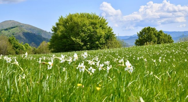 ©Facebook.com/parco.antola