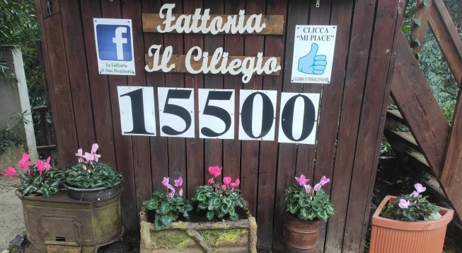 © facebook.com/FattoriaCiliegio/photos