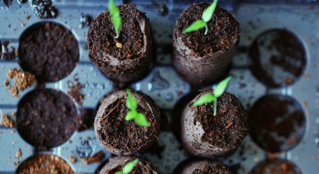 © Unsplash / Adrian Swancar