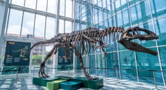 Un dinosauro al Grattacielo Piemonte: mostra gratuita a Torino fino al 30 novembre 2025
