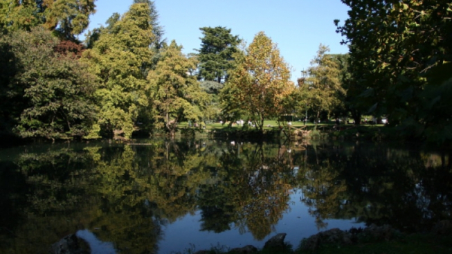 Flickr.com / ingiroconmama