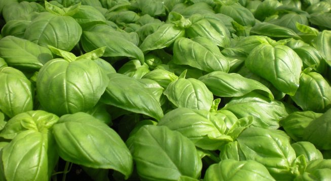 ©VingtETUn - Pixabay