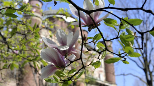 © Flickr.com / Comune di Milano