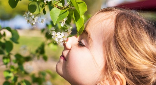 Mettiamocilnaso arriva in Piemonte: visite gratuite per chi ha disturbi dell'olfatto