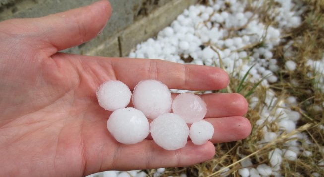 ©AngelaJMaher - Pixabay