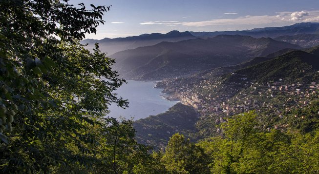 © Enrico Bottino