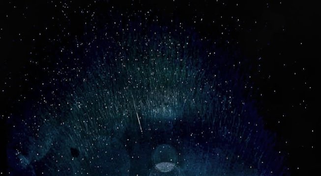 Stelle cadenti riprese dalla spiaggia della Foce a Genova ©Ancila Mettekkatt