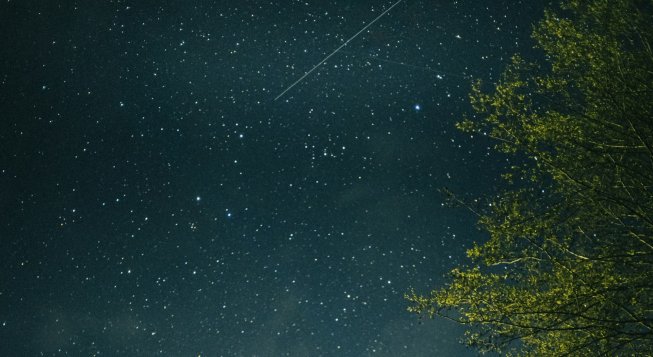 © Unsplash - Tony Litvyak