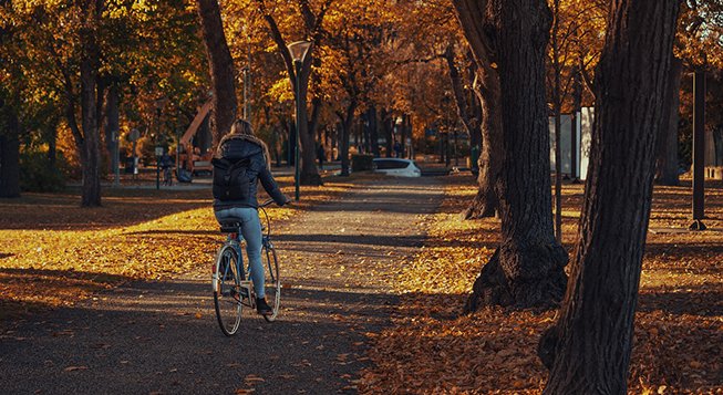 pixabay.com