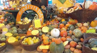 La casa delle zucche ad Andezeno, mostra mercato
