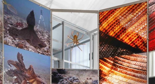 © Alessandro Saletta e Agnese Bedini - Dsl Studio