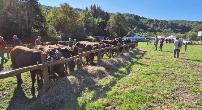 ©Facebook.com/CabanninaAparc