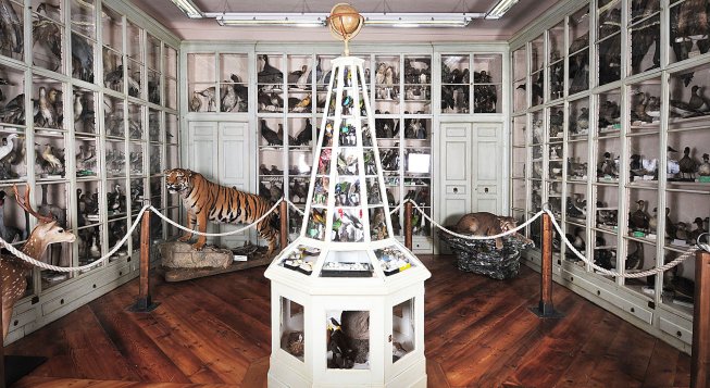 Museo Civico di Storia Naturale Craveri di Cuneo