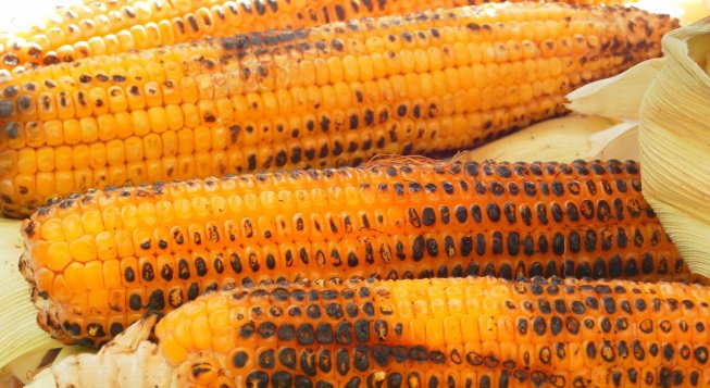 ©LaCamila - Pixabay