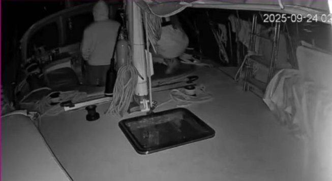 © instagram.com/globalsumudflotilla/