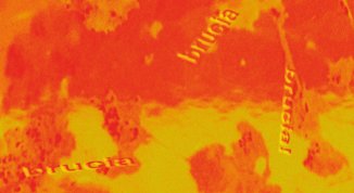 Brucia brucia brucia!, mostra a cura del collettivo Specific