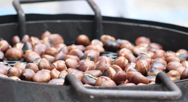 ©BeCi-ChannelCulture - Pixabay