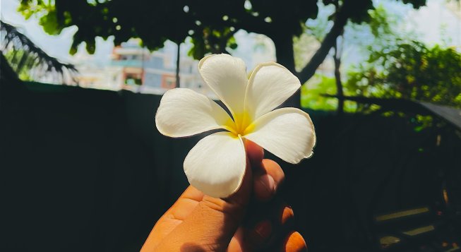 © Unsplash / Savan Rathwa