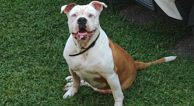 ©Facebook.com/FionaLinneoBlanca