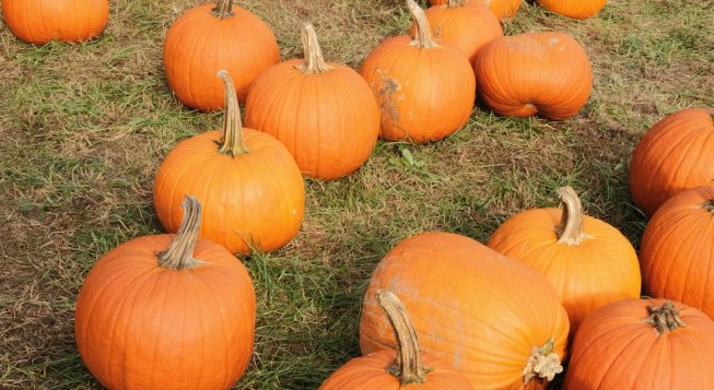 © Unsplash - Kellie Enge