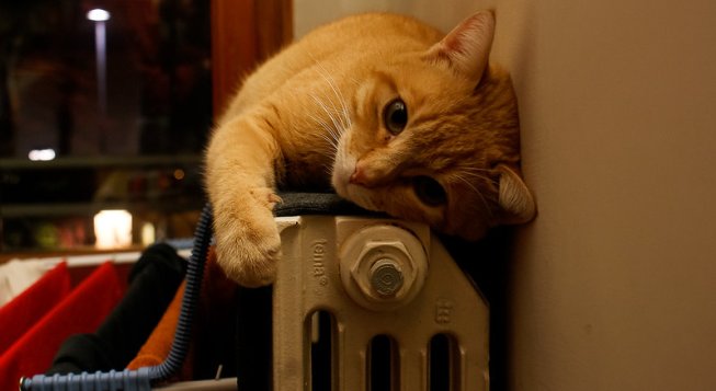 © Herman Rhoids / Flickr