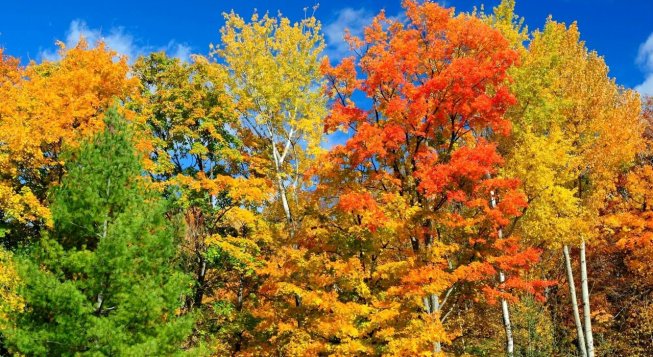 ©Facebook.com/mytrekking