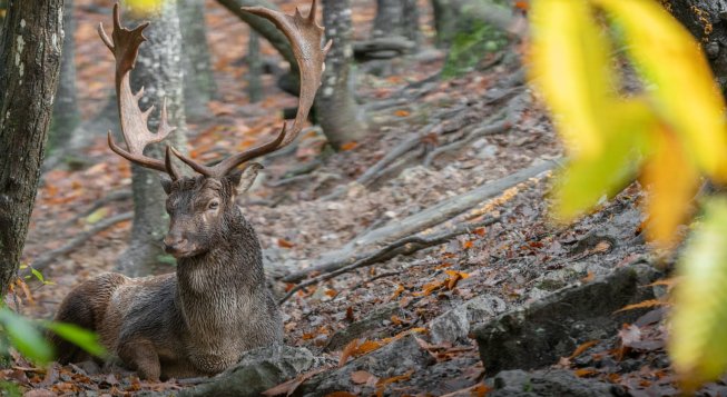 ©Niccolò Garaventa