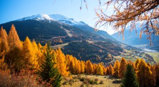 Foliage in Valtellina, dove andare? 10 luoghi per un tuffo tra i colori d'autunno