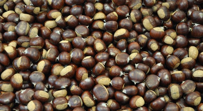 ©Chrishoefliger - Pixabay