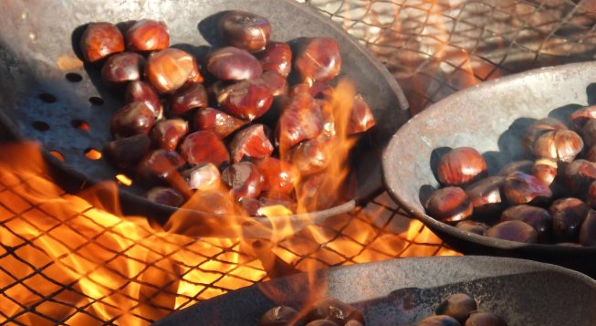 ©Makamuki0 - Pixabay