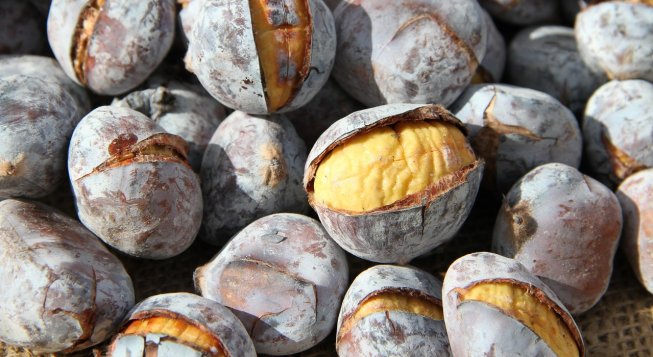 ©Antociano - Pixabay