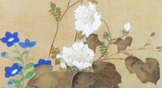 Estetica Giapponese, mostra a cura di Keiko Ando Mei per i 50 anni del Centro Culturale Giapponese