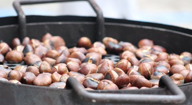 ©BeCi-ChannelCulture - Pixabay