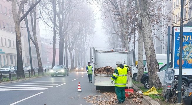 © facebook.com/amsa.spa