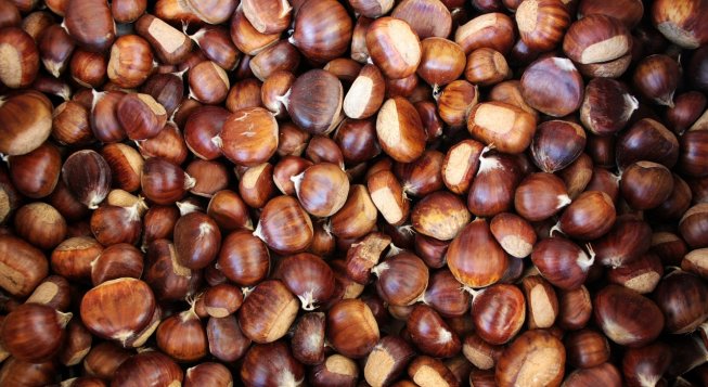 ©ElisaRiva - Pixabay