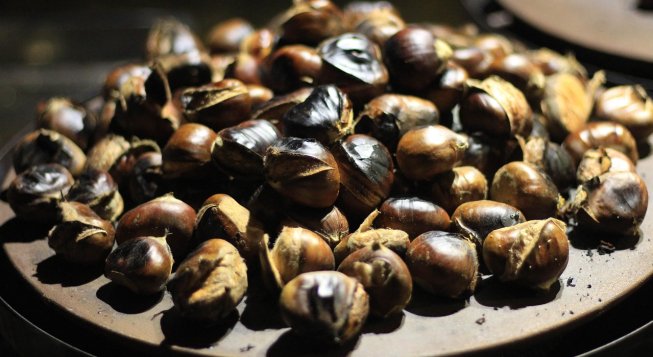 ©Sgrunden - Pixabay