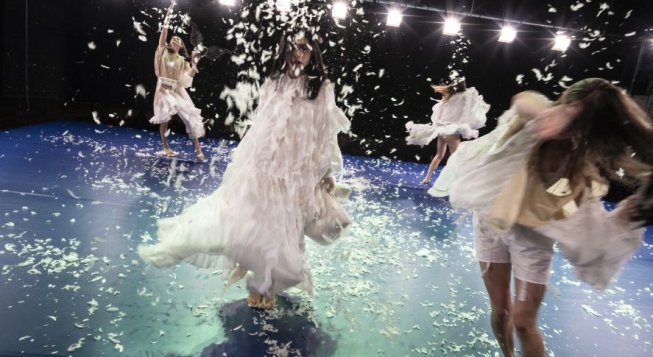 Cani Lunari © Luca Del Pia