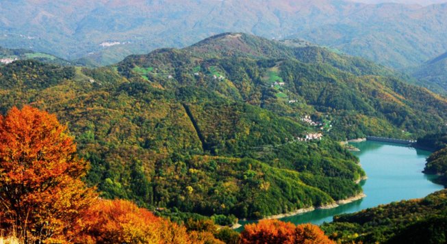 ©Davide Costa