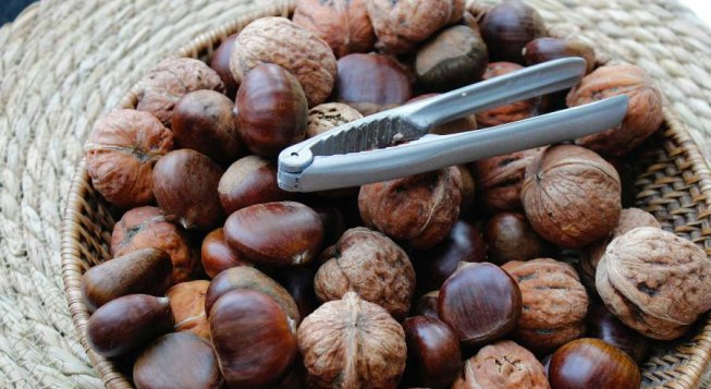 © Merve Sehirli Nasir - unsplash.com