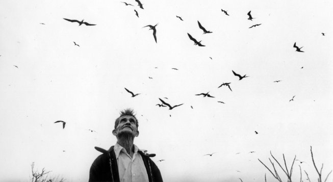 El señor de los pájaros, Nayarit, 1985 © Graciela Iturbide