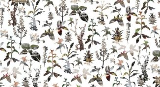 I sogni della Creazione, mostra di Igor Eškinja