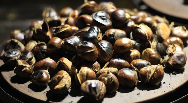 ©Sgrunden - Pixabay