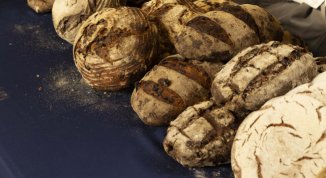 Salone del Pane 2025 a Moncalieri: due giorni di gusto e tradizione al Palaexpo