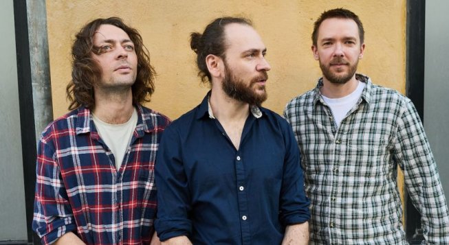 Mammal Hands © Iryna Bilyk