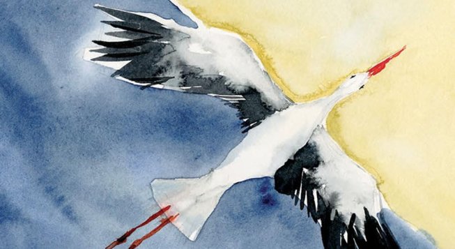 Margaryta Winkler, Tornando a casa