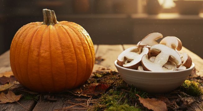 Zucca e funghi © gemini per mentelocale