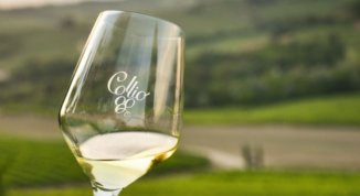 Degustazione Collio DOC da AIS Piemonte 